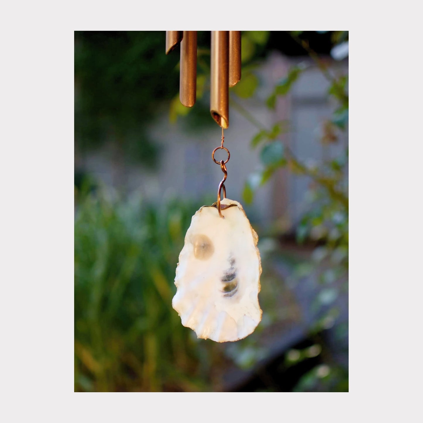 oyster shell windsail for a wind chime