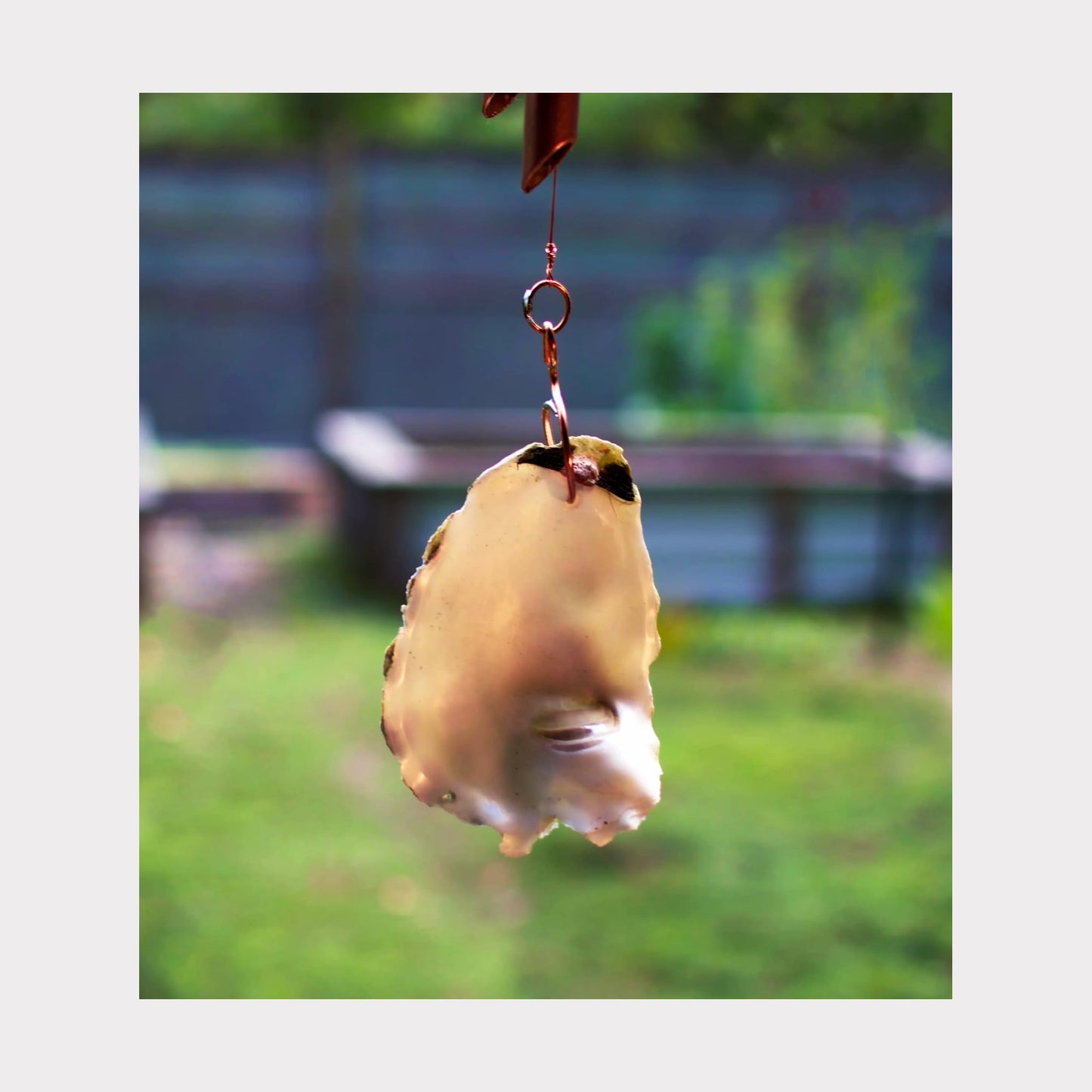 oyster shell windsail for a wind chime