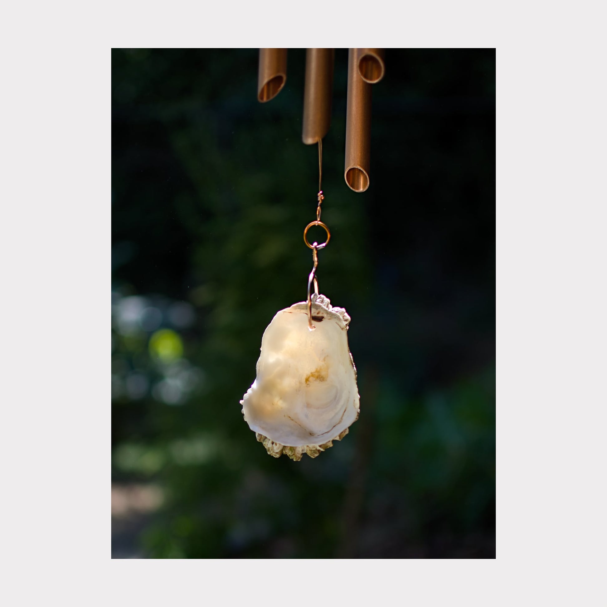 Detail of an oyster half shell windsail for a large wind chime.