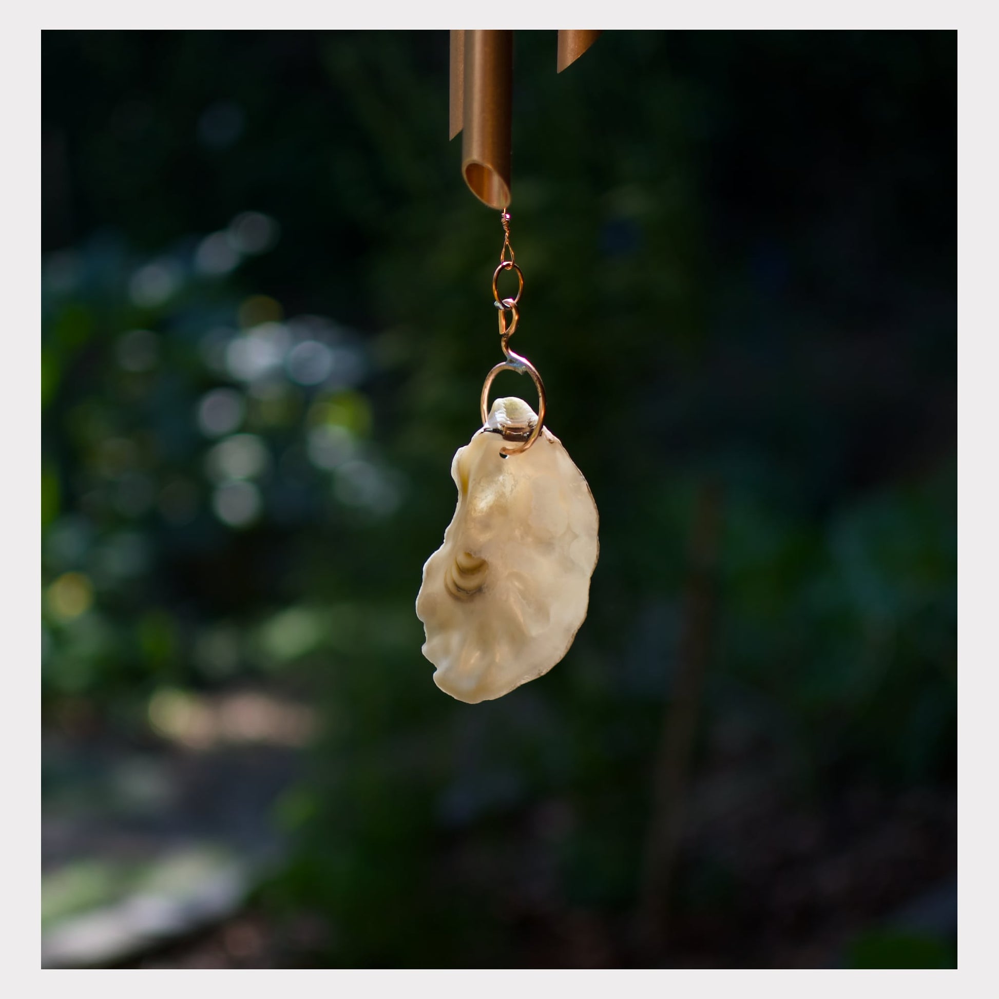 Detail, oyster half shell windsail for a large copper wind chime.